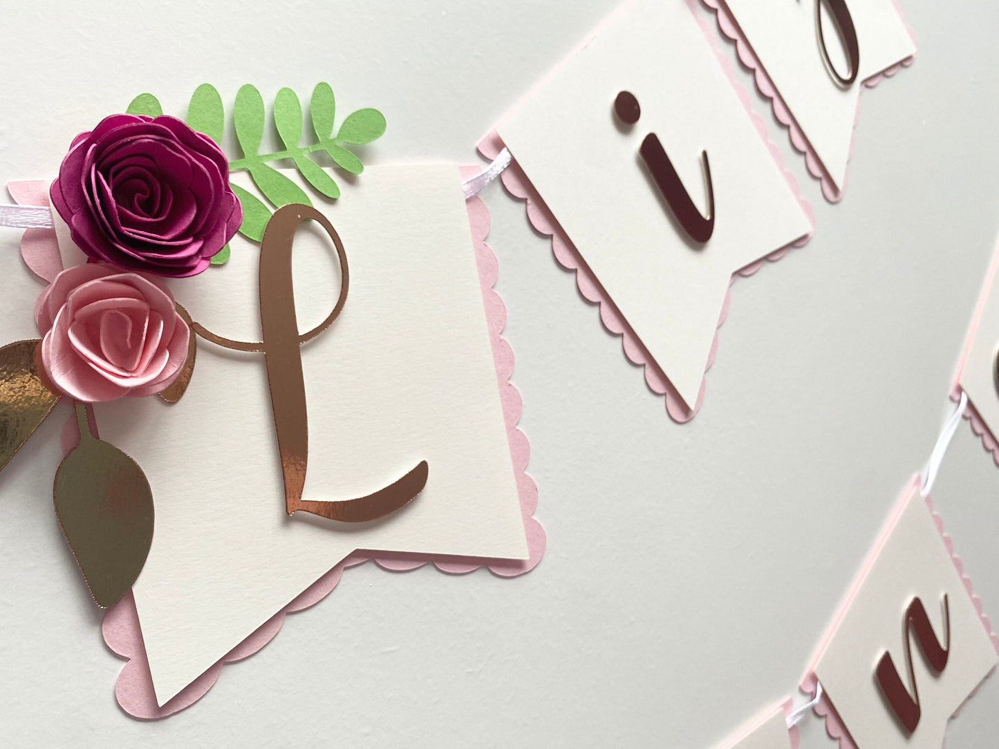 Hen Party Banner